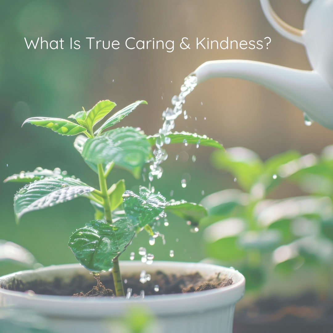 What Is True Caring & Kindness?